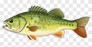 Cartoon Fish PNG