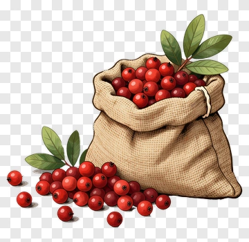 Bag Of Red Berries With Leaves PNG