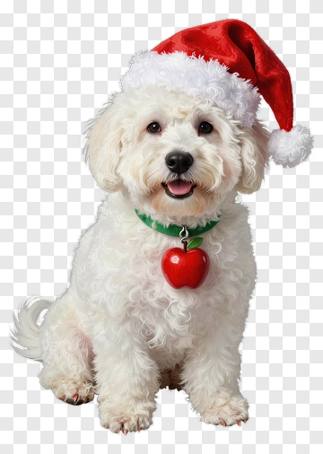Santa Dog With A Christmas Hat PNG