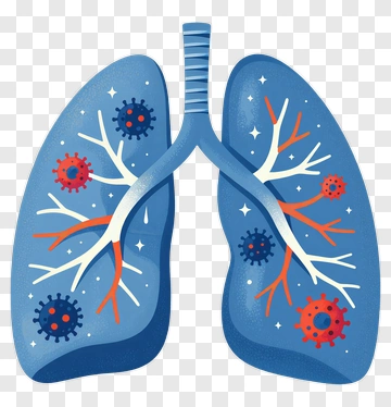 Lung Illustration With Virus Representation PNG