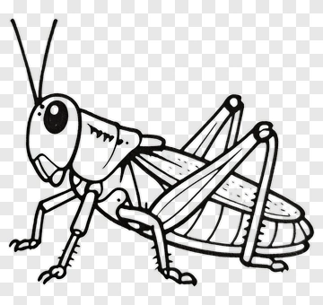 Cartoon Grasshopper PNG
