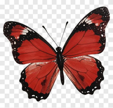 Red Butterfly PNG