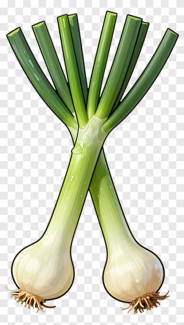 Green Onions With Fresh Stems PNG