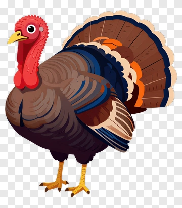 Cartoon Turkey PNG