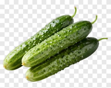 Fresh Cucumbers PNG