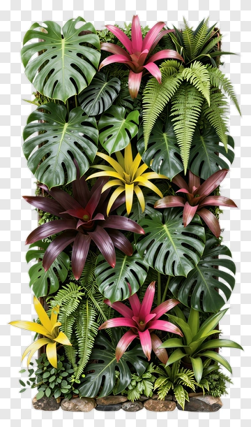 Colorful Tropical Plant Wall Arrangement PNG