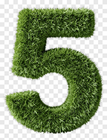 Green Grass Number Five PNG