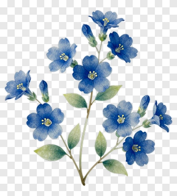 Watercolor Blue Flower Bouquet PNG