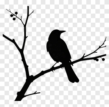 Silhouette Bird On A Branch PNG