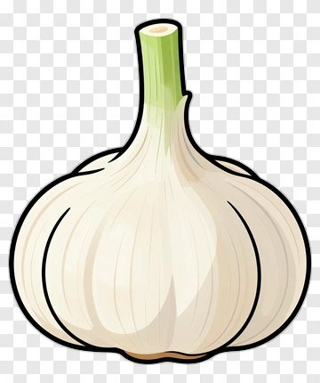Garlic Bulb PNG