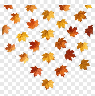Autumn Maple Leaves PNG