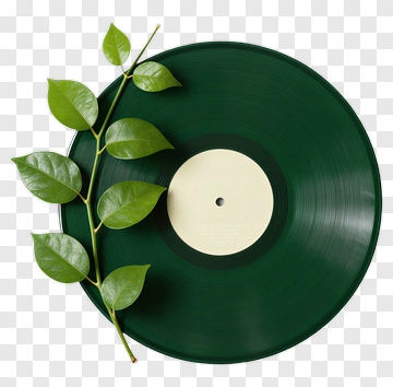 Green Vinyl Record With Leaves PNG