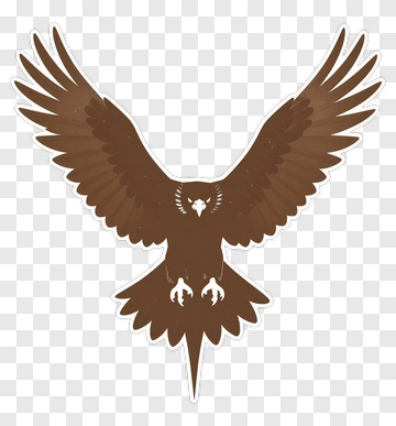 Brown Eagle With Outstretched Wings PNG
