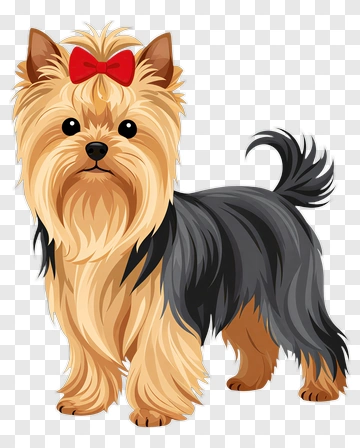 Yorkshire Terrier With A Red Bow PNG