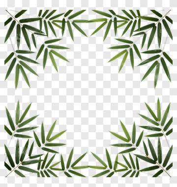 Bamboo Leaf Frame PNG