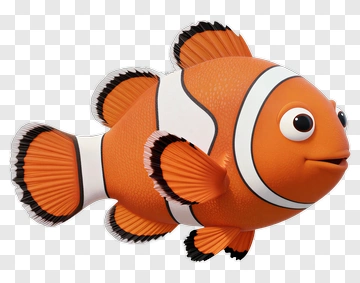 3D Clownfish Swimming PNG