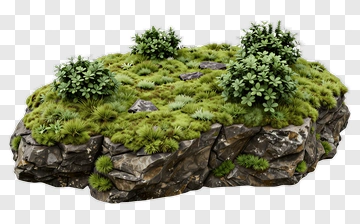 Rocky Island With Green Vegetation PNG