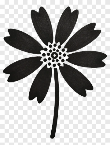 Black Flower With White Center PNG
