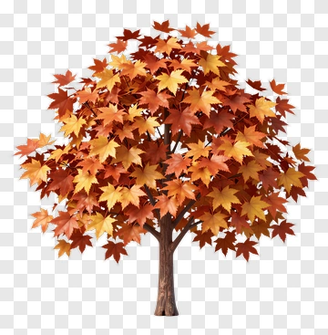 Colorful Autumn Tree PNG