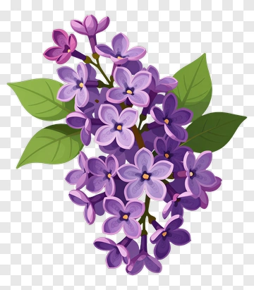 Colorful Lilac Flower Bouquet PNG