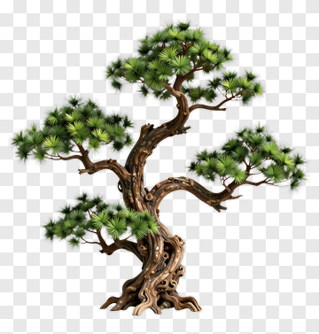 Detailed Bonsai Tree PNG