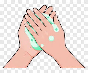 Hands Washing With Soap PNG