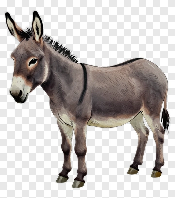 Cartoon Donkey PNG