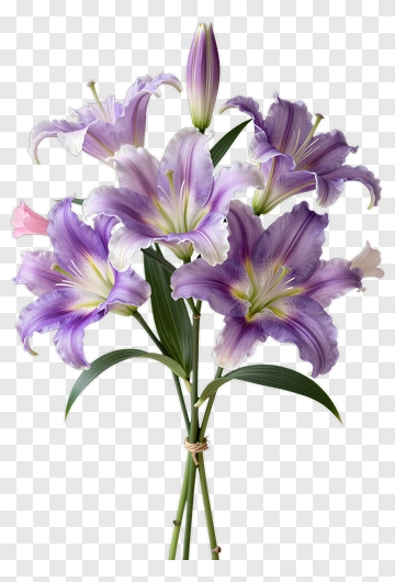 Purple Lily Bouquet PNG