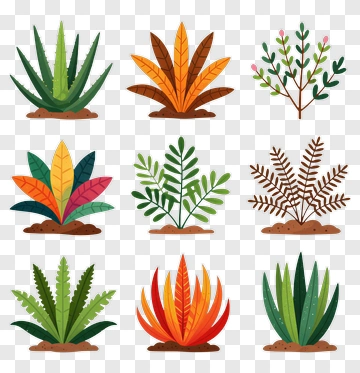 Colorful Collection Of Various Plants PNG