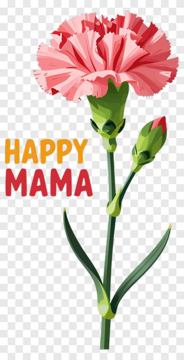 Pink Carnation Flower With Happy Mama Text PNG