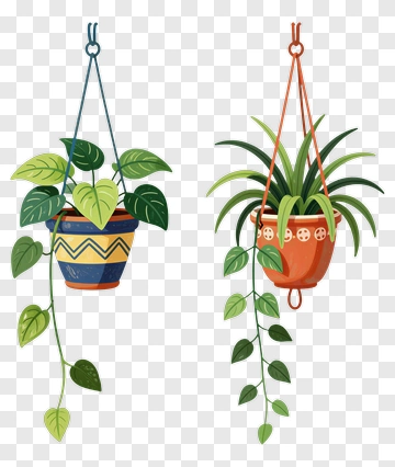 Hanging Plant Pots With Green Vines PNG