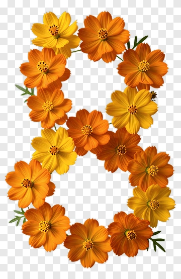Floral Number 8 Made Of Orange And Yellow Flowers PNG
