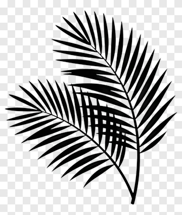 Black Palm Leaf PNG