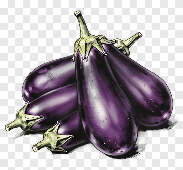 Colorful Eggplants PNG