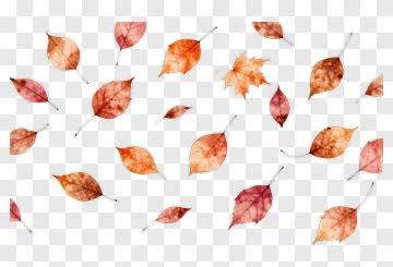 Autumn Leaves Falling PNG