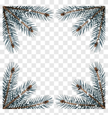 Pine Tree Branches Frame PNG