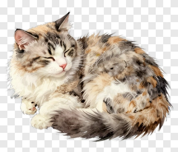 Fluffy Cat Sleeping Comfortably PNG