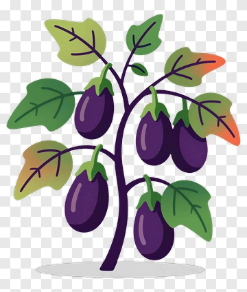Cartoon Eggplant Plant With Fruits PNG