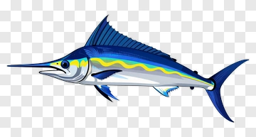 Colorful Swordfish Illustration PNG