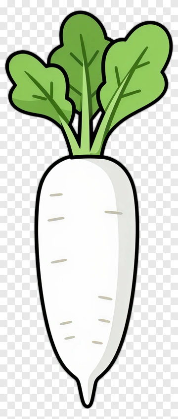 Cartoon Radish With Green Leaves PNG