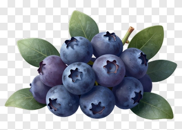 Fresh Blueberries With Leaves PNG