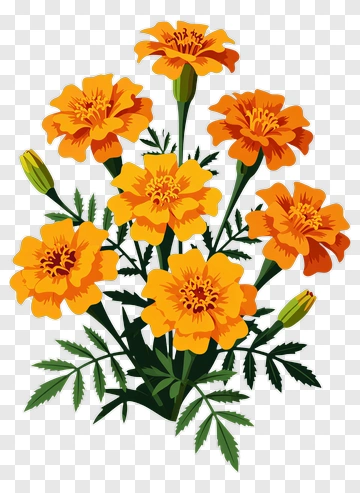 Colorful Marigold Flower Bouquet PNG