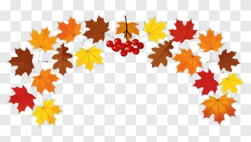 Colorful Autumn Leaves Arrangement PNG