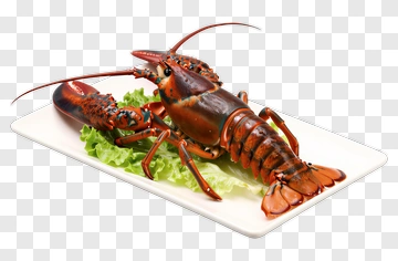Lobster On A Plate With Lettuce PNG