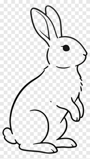Cartoon Rabbit PNG