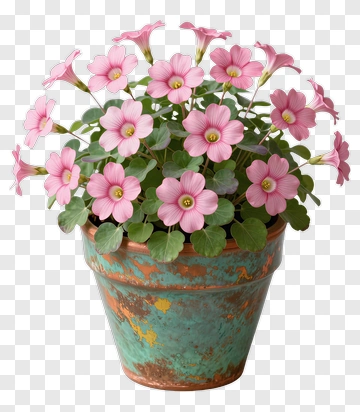 Flower Pot With Pink Flowers PNG
