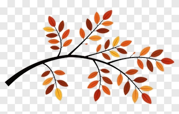 Colorful Autumn Branch With Leaves PNG