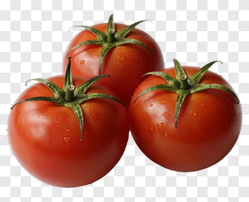 Three Fresh Tomatoes PNG