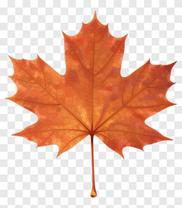 Orange Maple Leaf PNG