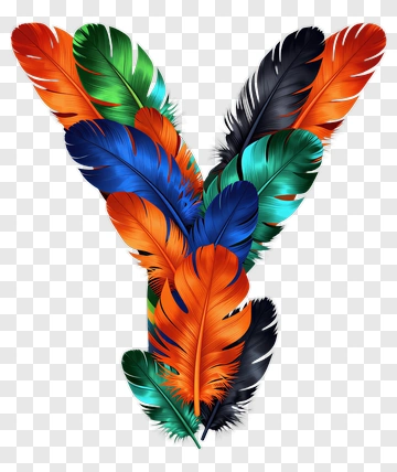 Colorful Feathers Arrangement PNG